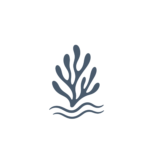 logo (final) (2)